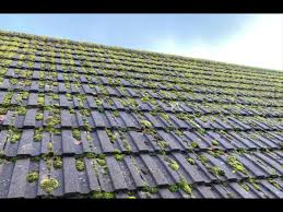 roof cleaning Melbourne