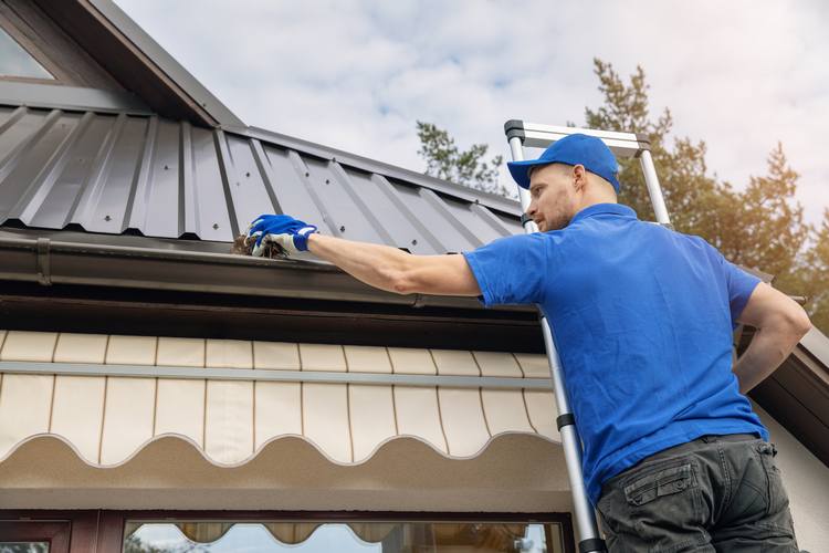 roof gutter cleaning Melbourne