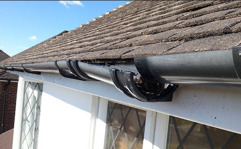 gutter repair Ashburton