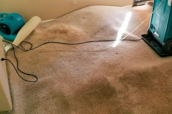 carpet water damage